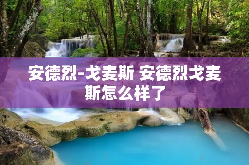 安德烈-戈麦斯 安德烈戈麦斯怎么样了 安德烈-戈麦斯 安德烈戈麦斯怎么样了