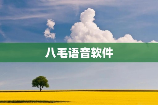八毛语音软件:打造高效沟通,提升工作效率 八毛语音软件:打造高效沟通,提升工作效率