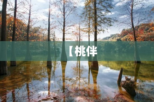 【桃伴：唤醒味蕾的桃子盛宴】
