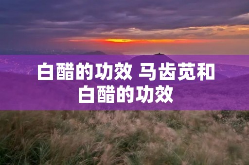 白醋的功效 马齿苋和白醋的功效