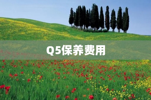Q5保养费用:了解Audi Q5保养所需费用及注意事项 Q5保养费用:了解Audi Q5保养所需费用及注意事项
