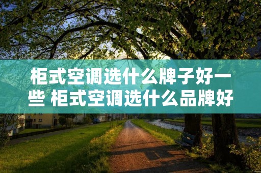 柜式空调选什么牌子好一些 柜式空调选什么品牌好?