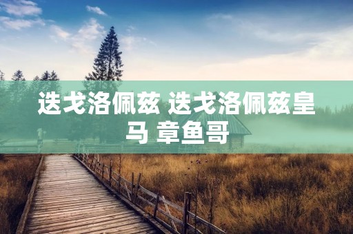 迭戈洛佩兹 迭戈洛佩兹皇马 章鱼哥