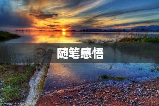 随笔感悟：人生的真谛在于内心的力量
