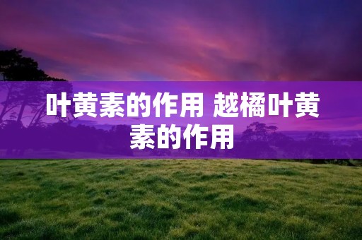 叶黄素的作用 越橘叶黄素的作用 叶黄素的作用 越橘叶黄素的作用