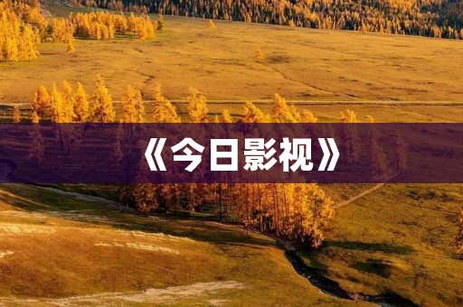 《今日影视》：一站式电影电视剧观影平台