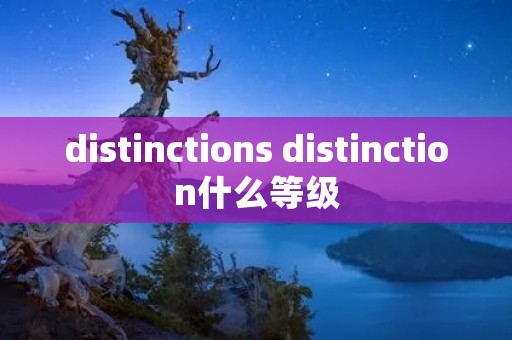 distinctions distinction什么等级