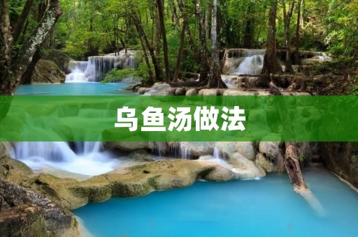 乌鱼汤做法:家庭美食的经典之选 乌鱼汤做法:家庭美食的经典之选