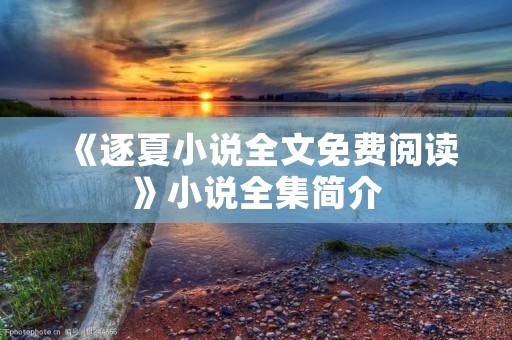 《逐夏小说全文免费阅读》小说全集简介