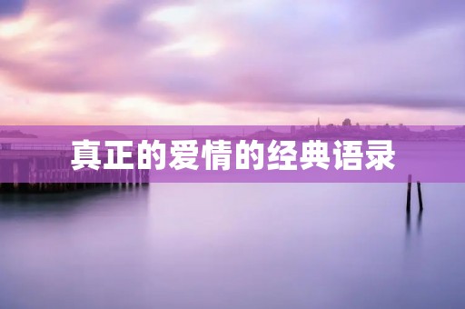 真正的爱情的经典语录:探寻爱情的真谛