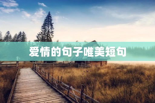 爱情的句子唯美短句：用文字诠释爱情的美好
