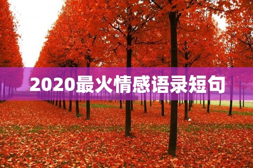 2020最火情感语录短句：感性、温暖、深刻的情感表达