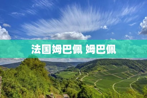 法国姆巴佩 姆巴佩