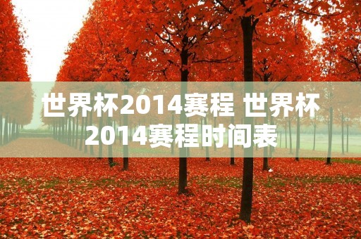 世界杯2014赛程 世界杯2014赛程时间表 世界杯2014赛程 世界杯2014赛程时间表