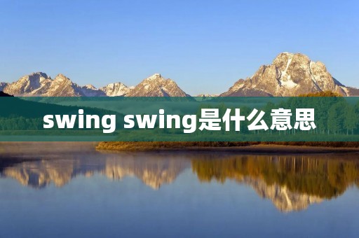 swing swing是什么意思