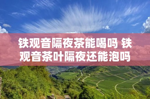铁观音隔夜茶能喝吗 铁观音茶叶隔夜还能泡吗
