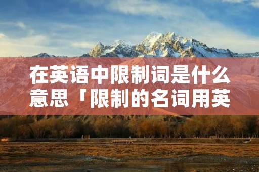 在英语中限制词是什么意思「限制的名词用英语怎么说」