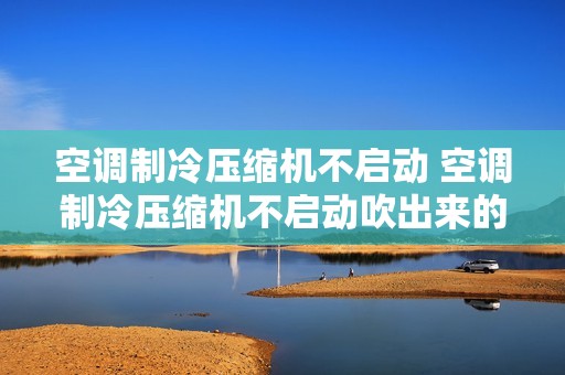 空调制冷压缩机不启动 空调制冷压缩机不启动吹出来的风是酸臭的 空调制冷压缩机不启动 空调制冷压缩机不启动吹出来的风是酸臭的