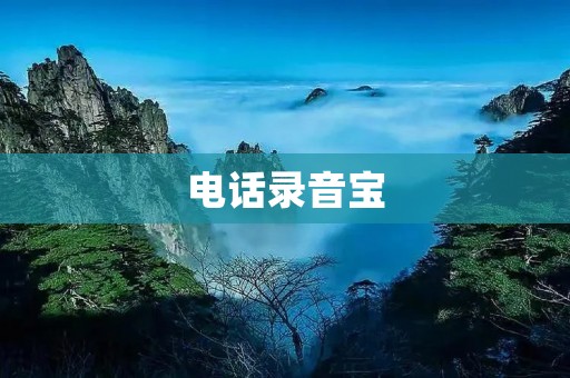 **录音宝：保障通话质量，便捷记录沟通内容