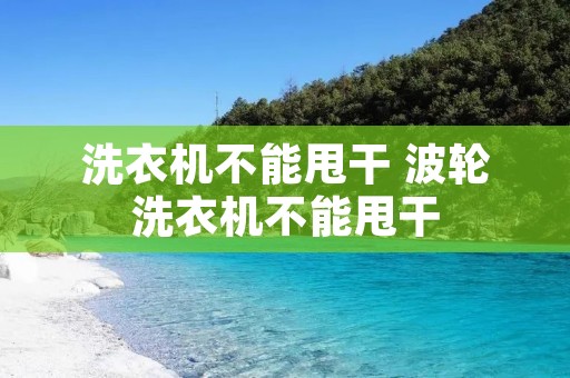 洗衣机不能甩干 波轮洗衣机不能甩干