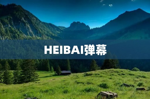 HEIBAI弹幕：一场革新网络文化的浪潮