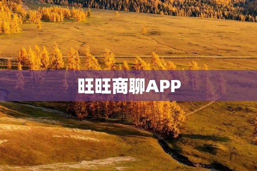 旺旺商聊APP:高效沟通,实现商务合作的必备工具 旺旺商聊APP:高效沟通,实现商务合作的必备工具