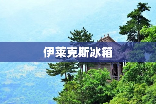 伊莱克斯冰箱：产地与品质的完美结合