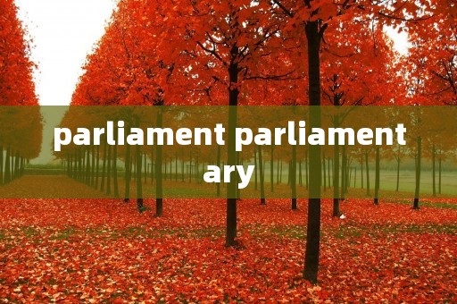 parliament parliamentary