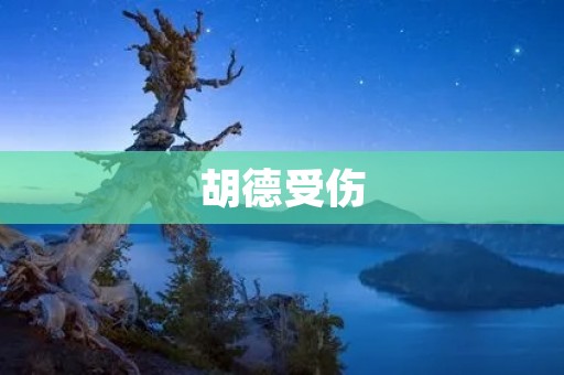 胡德受伤:海军战舰的重大损失 胡德受伤:海军战舰的重大损失