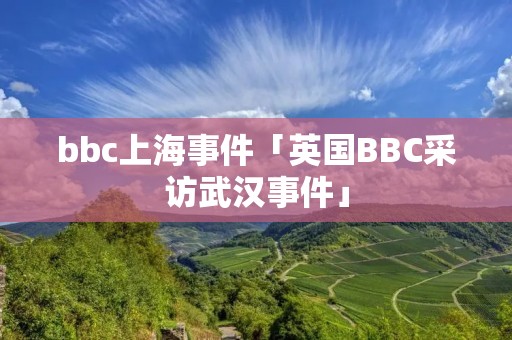 bbc上海事件「英国BBC采访武汉事件」