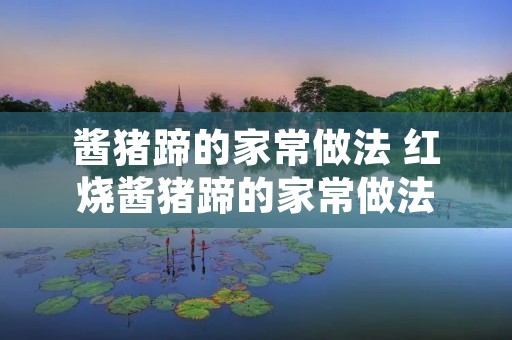 酱猪蹄的家常做法 红烧酱猪蹄的家常做法