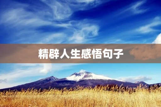 精辟人生感悟句子:如何用简短的语言表达深刻的人生哲理