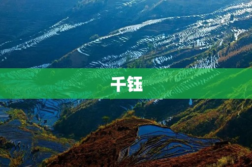 千钰:一个充满创造力与**的音乐天才 千钰:一个充满创造力与**的音乐天才