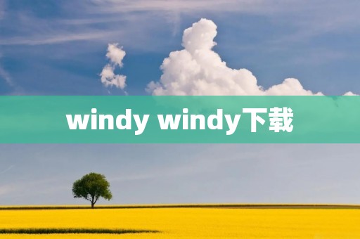 windy windy下载