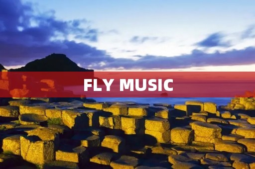 FLY MUSIC：让音乐飞翔
