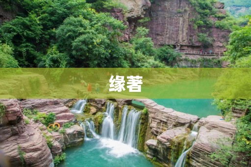 缘著：一场寻觅真爱的奇幻之旅