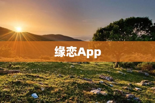 缘恋App：寻觅真爱的新时代平台