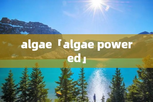 algae「algae powered」 algae「algae powered」