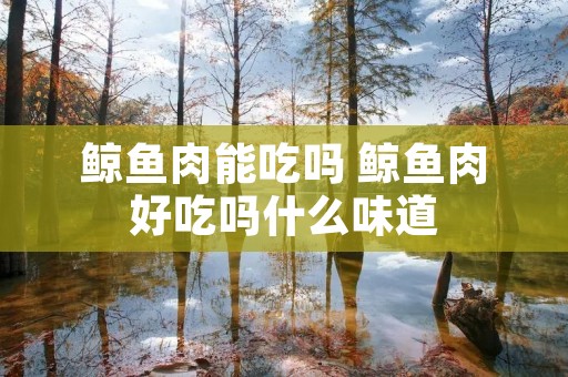 鲸鱼肉能吃吗 鲸鱼肉好吃吗什么味道