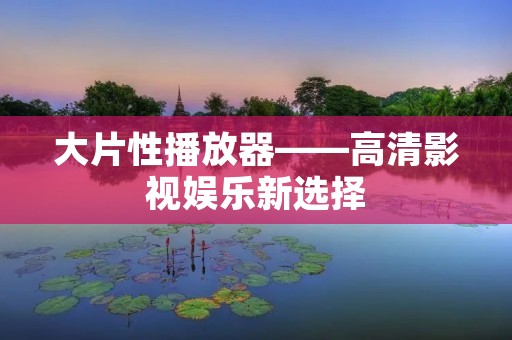 大片性播放器——高清影视娱乐新选择