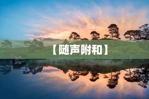 【随声附和】：与他人对话时的一种表达方式