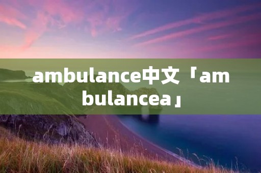 ambulance中文「ambulancea」