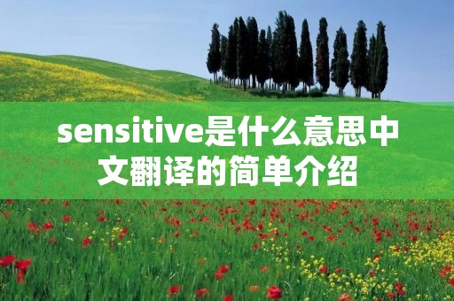 sensitive是什么意思中文翻译的简单介绍