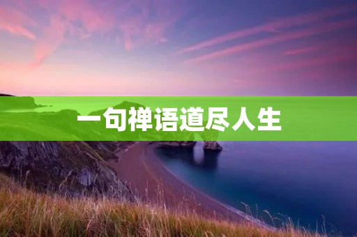 一句禅语道尽人生