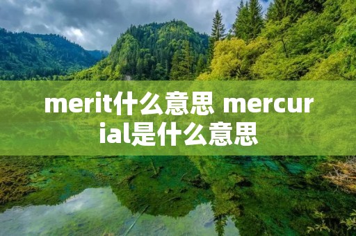 merit什么意思 mercurial是什么意思