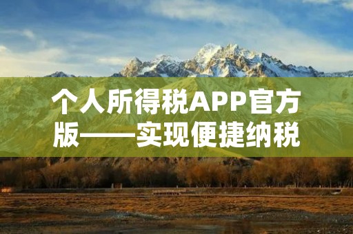 个人所得税APP官方版——实现便捷纳税