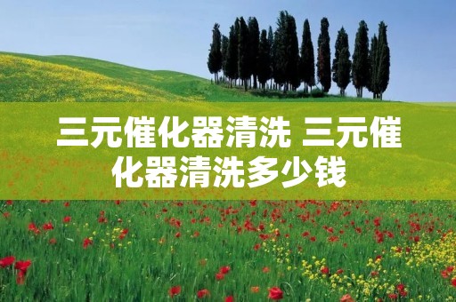 三元催化器清洗 三元催化器清洗多少钱 三元催化器清洗 三元催化器清洗多少钱