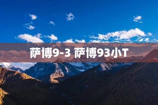 萨博9-3 萨博93小T