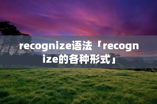 recognize语法「recognize的各种形式」