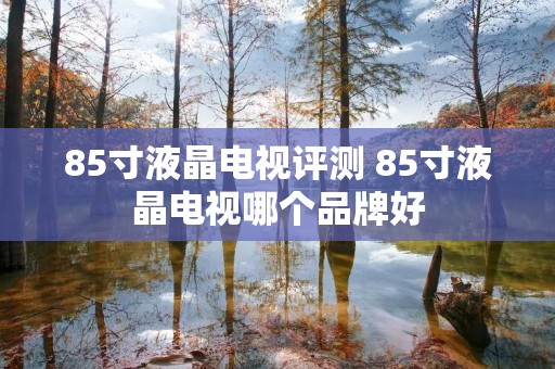 85寸液晶电视评测 85寸液晶电视哪个品牌好